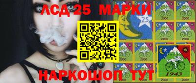 гашик Обнинск